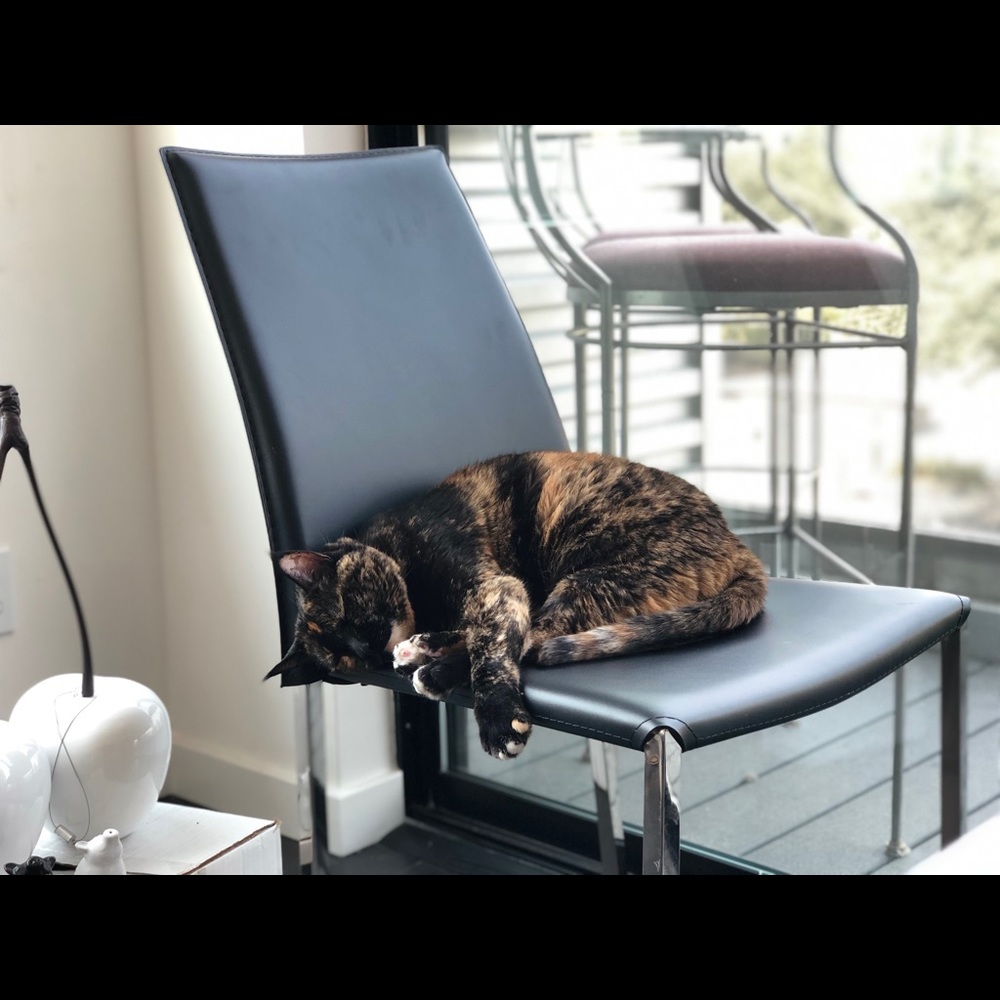 Meet your Posher, Rachel